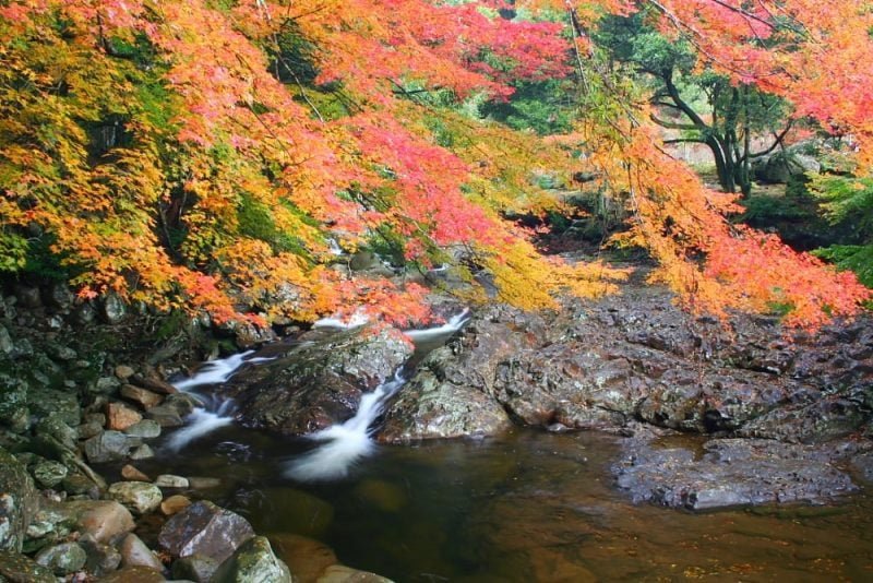 🏞️ 나메토코 계곡 (나메토코케이코쿠) 이미지 8